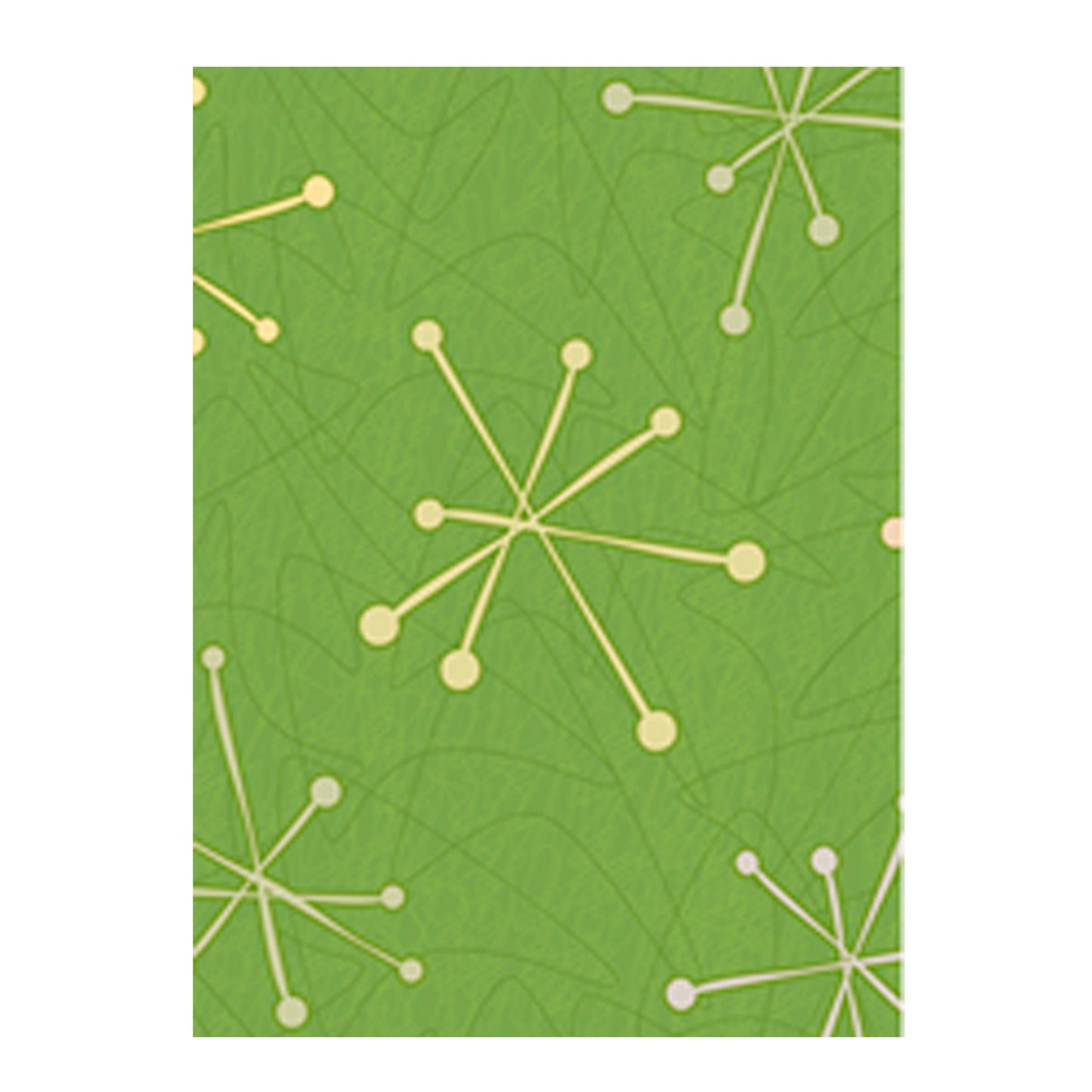 Album pocket tapa blanda 40F.