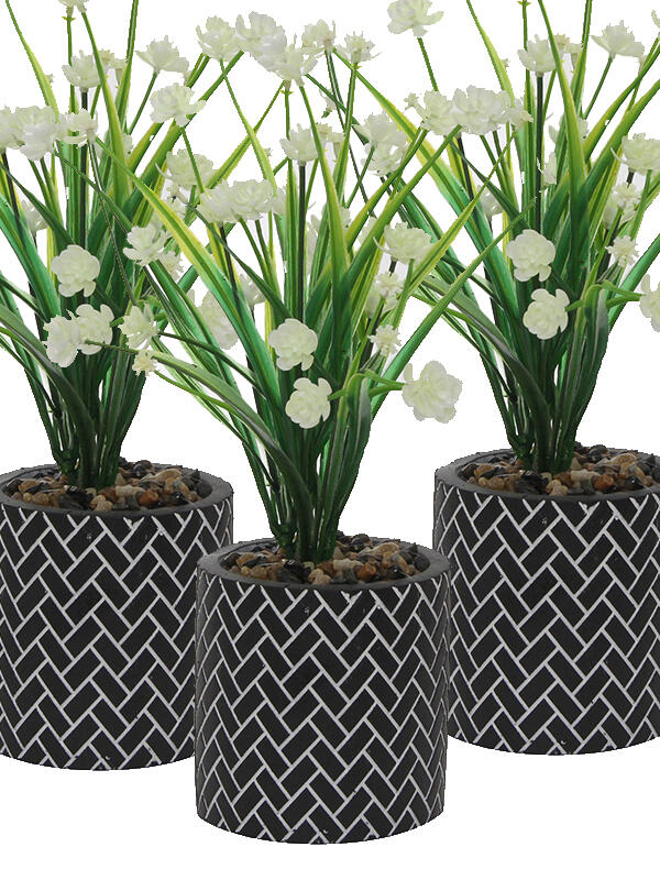 PLANTITAS